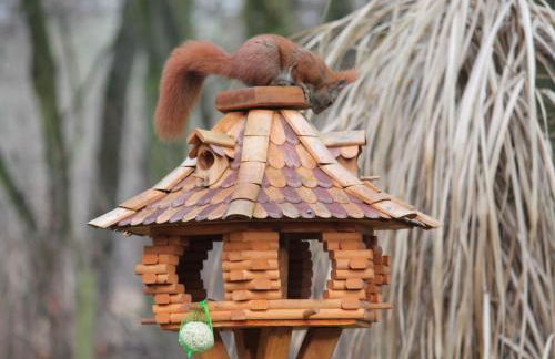 Holiday Home Bungalow Waldidyll by Interhome - Foto 50