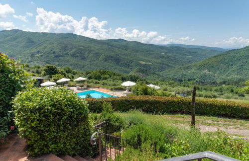 Universal Harmony - Usignolo - Foto 2