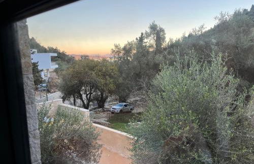 Villa Horti , 333 steps from Agni Bay - Photo 9