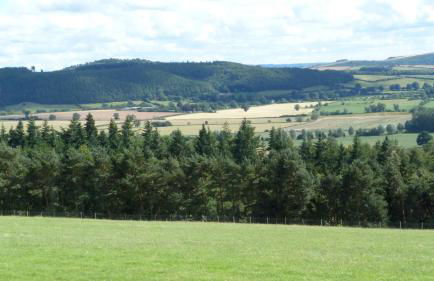 Willow Cottage - Foto 22