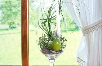 Ferienwohnung Wallner - Foto 20