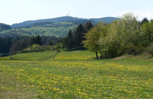 Gemütliche Ferienwohnung in Medebach - Foto 28