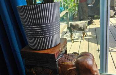 3 bedroom Casa Azul in Historic Northwood Hills - Foto 36