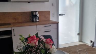 Glückauf - Gemütliche Ferienwohnung nahe Steinhude - Foto 5, stove, pet friendly