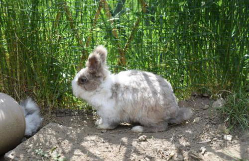 Residence Feldhof - Foto 19