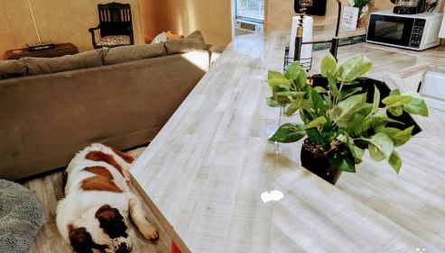 Sweet Salem Hideaway - Foto 4