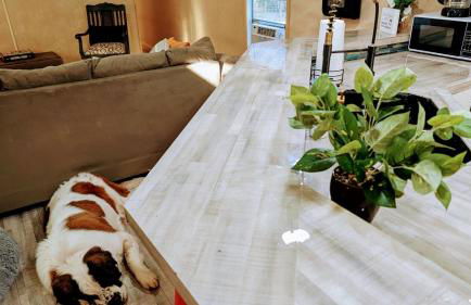 Sweet Salem Hideaway - Foto 4