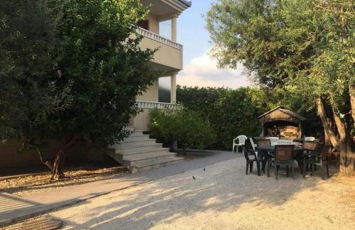 Apartmani Vrzina - Foto 2