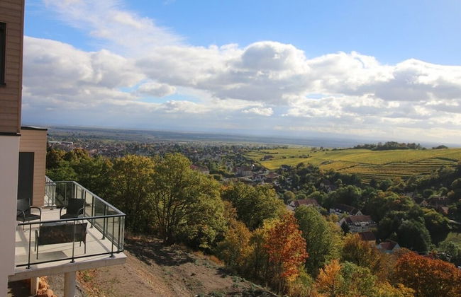 Terrasses D'alsace - Foto 47