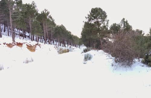 El Palomar de Peñarrubia - Foto 10