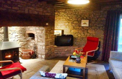 Llwyn Llwyd Cottage - Photo 14