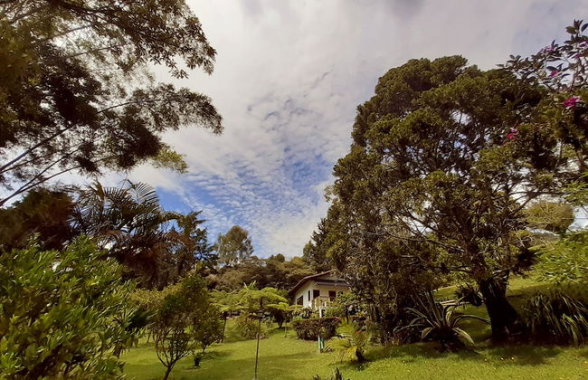 Casa Jade - Photo 25