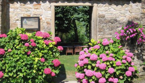 Guest House in Monferrato With Wine Tasting - Foto 2