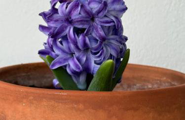 Sideroporta castle Náfpaktos - Foto 37