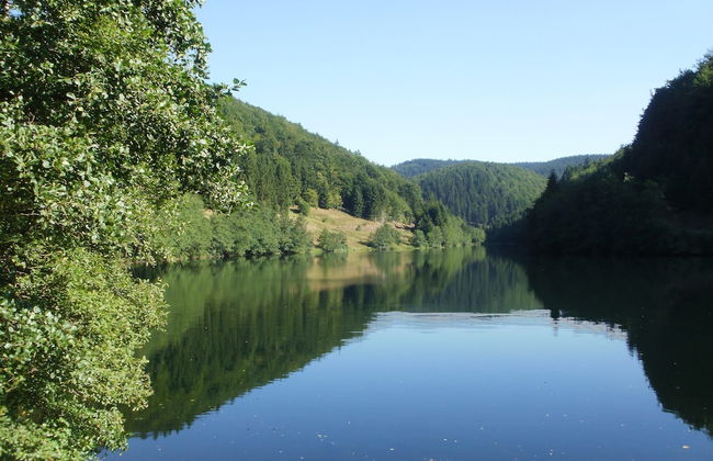 Fantastic Apartment in Frauenwald near Forest - Foto 38