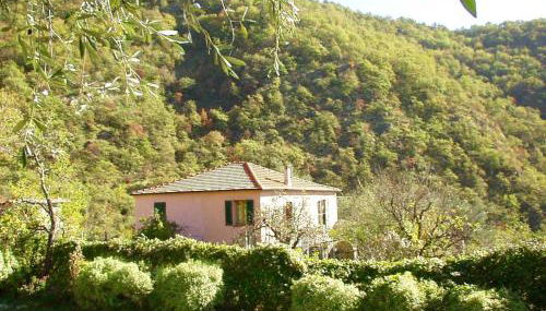 Country House With Big Garden - Foto 4