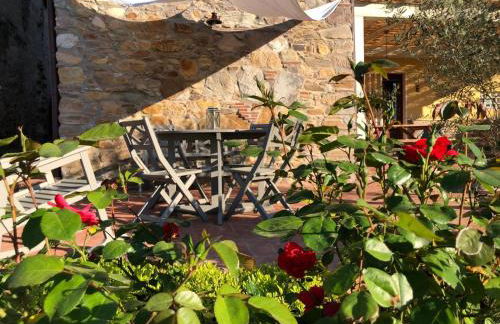 Intero alloggio campagna Lucca - Foto 39