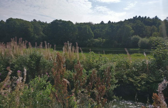 2 Person Holiday Home in Ejstrupholm-by Traum - Foto 6