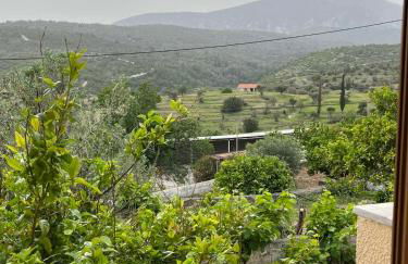 Rustic and Spacious House - Foto 12