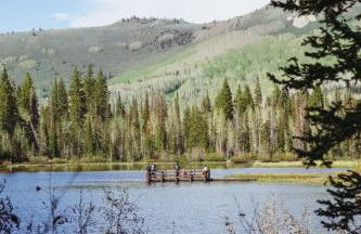 Brighton Ski Resort Hidden Falls 1 Bedroom Chalet Utah - Foto 39