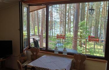 Domek w Ocyplu-Ocypelski Śpik ,Bory Tucholskie - Foto 9