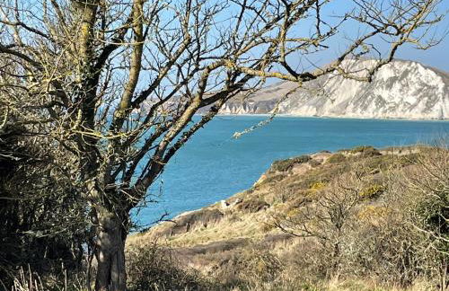 Primrose Cottage - Photo 27