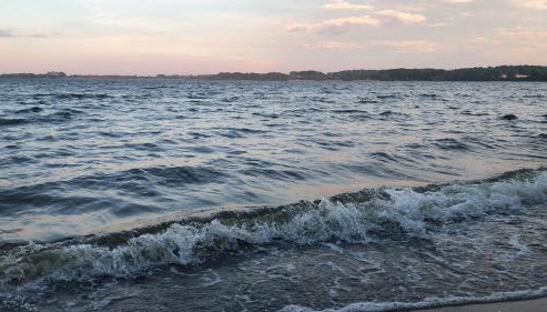 Bücherträume - Photo 2