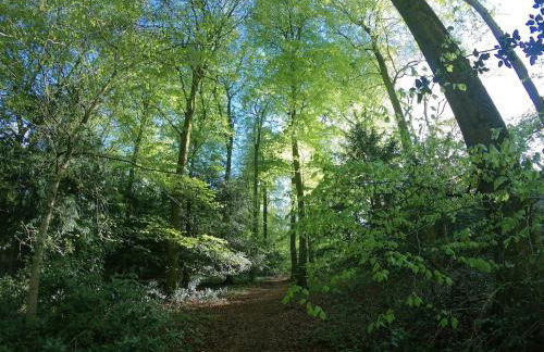 The Organic Cotswolds Shepherds Hut - Photo 26
