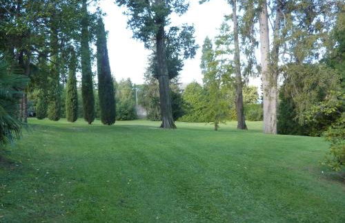 Hermitage mimosa - Photo 20