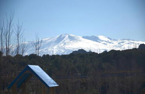 Cueva El Cortijo Gachas - Photo 81