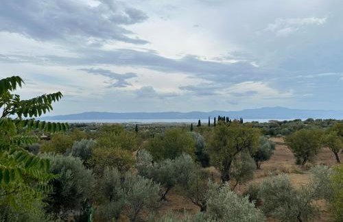 Antonia's Apartments - Foto 10