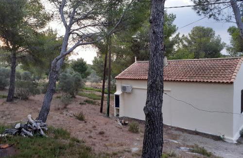 Mazet pleine nature - Foto 10