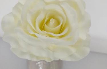 Apartman Mate - Foto 18