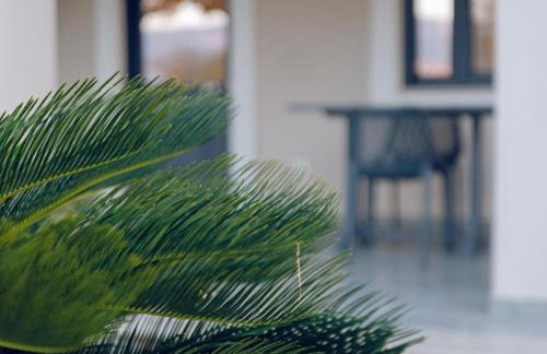 Carpe Diem Moursia Studio - Foto 69