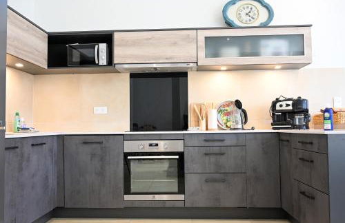 Dreams of Alaric Maison de charme avec piscine aux pieds des Pyrénées Ideal base cyclists exploring legendary climbs - Foto 70