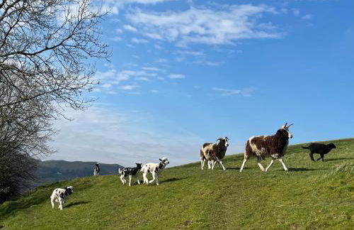 Robinsons Cottage, central and quiet - Foto 43