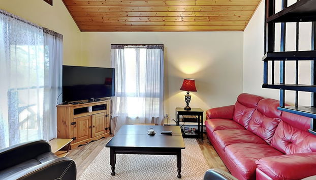 Fawn View Cabin by Taylor Made Deep Creek - Foto 2, Servicios del alojamiento