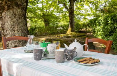 A magical place to regenerate - Foto 15