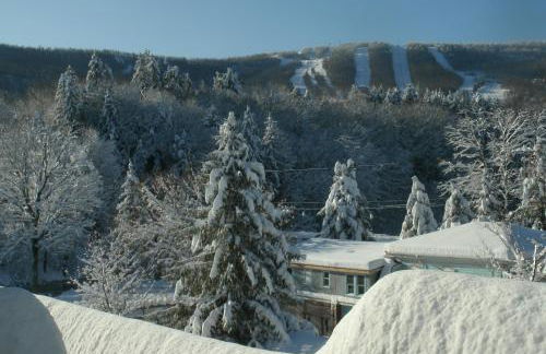 Townhouse W Private Deck & Mt View - Foto 1