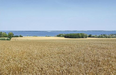 Stunning Home In Boiensdorf With Sauna - Foto 27