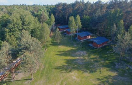 Domki Wrzosowe Wzgórza Nr2 - Foto 38