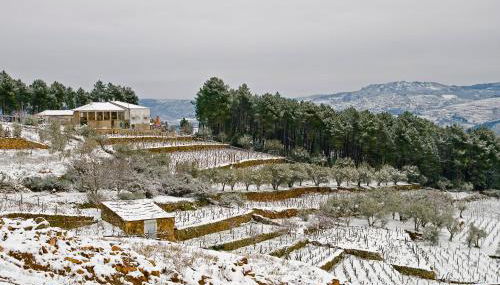 Quinta Soutelinho - Foto 3