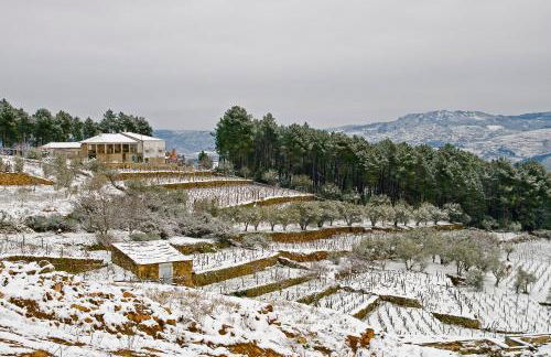 Quinta Soutelinho - Photo 3