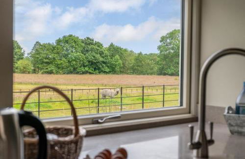 3 Bed in York oc-89538 - Photo 9