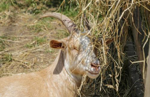 Foulsyke Farm Bungalow - Foto 31