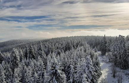 Apartament Hortensjowy Zakątek - Foto 49