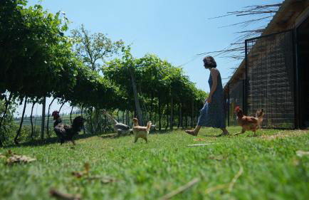 Agriturismo Ai Dossi - Foto 74