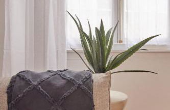 La Linda Little Apartments - Foto 8