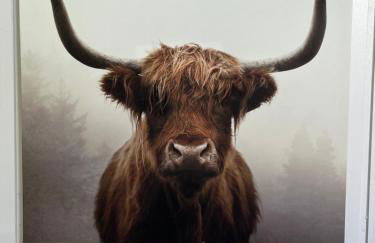 Amazing Loch Views - Foto 24