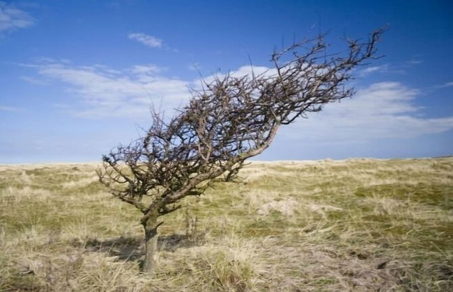 High Bickington Forest View 2 Bedrooms - Foto 4